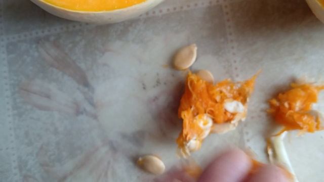 Внимание! Предупреждение!