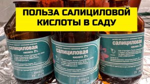 БИОЗАЩИТА САДА ЗА 25 РУБ!