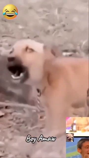 Я тебя съем 🤣🤣🤣🤣😳😳😳😳