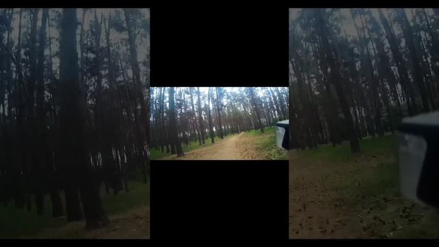 Покатушки на велосипеде «парк Танаис»