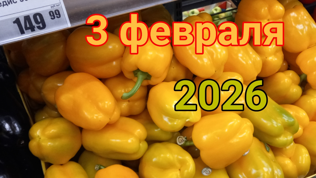 3 февраля 2026. Февральские зарисовки. смотреть онлайн