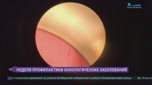 Клеточный курьер. По силам ли наночастицам совершить революцию в онкологии