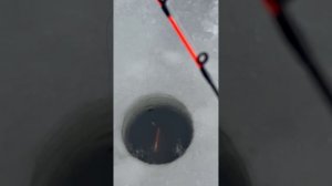 Клевая рыбалка в Астрахани!!!!