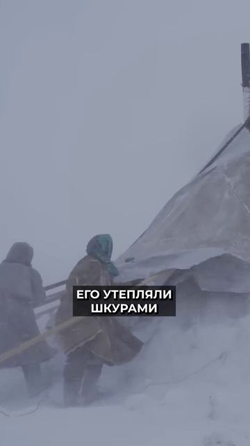 🤔❄️ Почему саамы поменяли куваксы на чумы