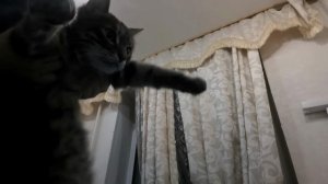 Гена и его питомец Паштет Гоц