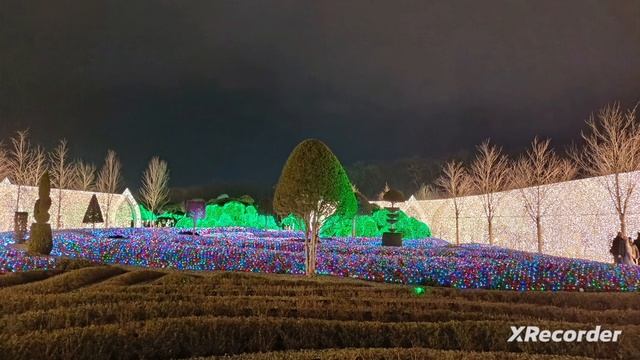 Новогодний парк Галицкого смотреть онлайн