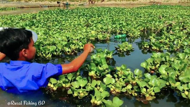 ЛОВУШКА ДЛЯ РЫБЫ ИЗ ПЛАСТИКОВОЙ БУТЫЛКИ смотреть онлайн