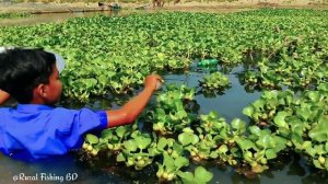 ЛОВУШКА ДЛЯ РЫБЫ ИЗ ПЛАСТИКОВОЙ БУТЫЛКИ