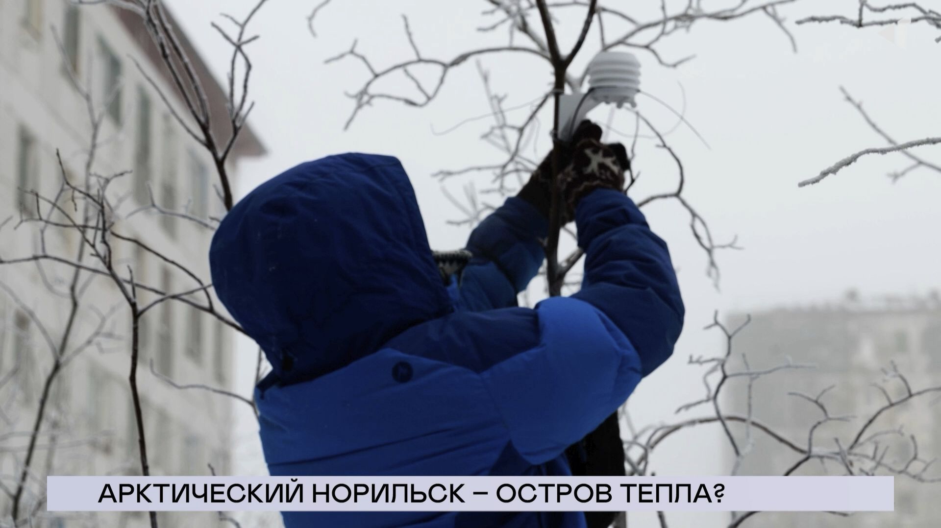 НОВОСТИ СЕВЕРНОГО ГОРОДА, 03.02.2026 смотреть онлайн