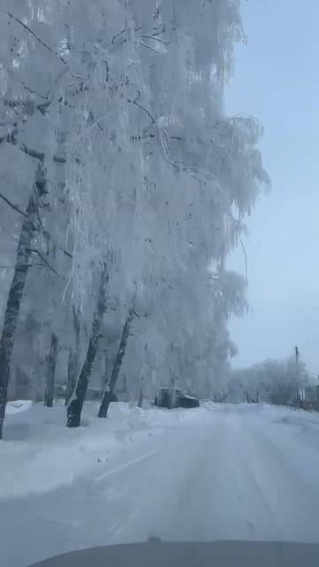 КРАСИВАЯ ЗИМА