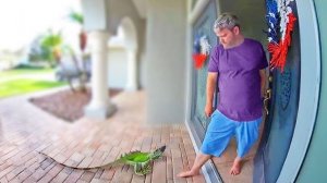 Лучшие видеоролики с дверными звонками