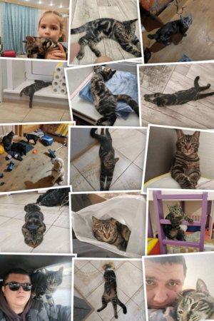 играю в аватар ворлд