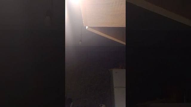 мирская жизнь