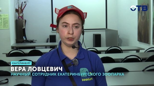 Ежиха Снежа предсказала, какая погода ждёт уральцев этой весной смотреть онлайн