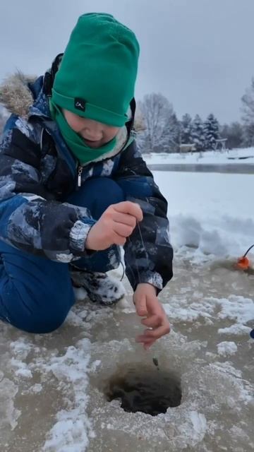 Впервые в жизни поймал форель
