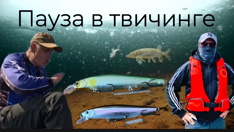 Пауза в твичинге