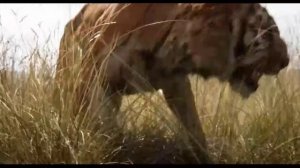 Книга джунглей - The Jungle Book (2016) трейлер - pretty-random-movies.ru