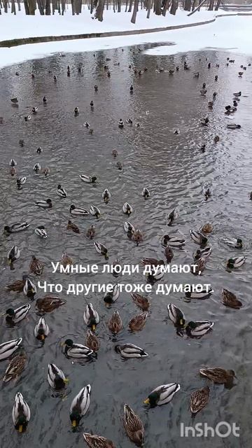 26/365 смотреть онлайн