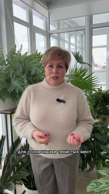 2 готовых решения для клумб без лишнего ухода смотреть онлайн