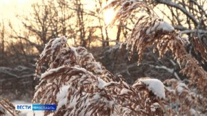 Корреспонденты «Вести-Ярославль» узнали, кого не пугают аномальные морозы