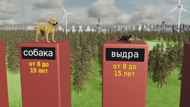 Какие животные живут до 17 000 лет смотреть онлайн