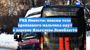 РИА Новости: поиски тела пропавшего мальчика идут в деревне Яльгелево Ленобласти