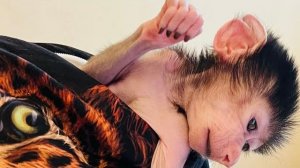 НЕПРИЯТНЫЙ РАЗГОВОР для всех тех, кому Степка ЛИЧНО ПОЗВОНИЛ и сказал что ему плохо с Люсей!