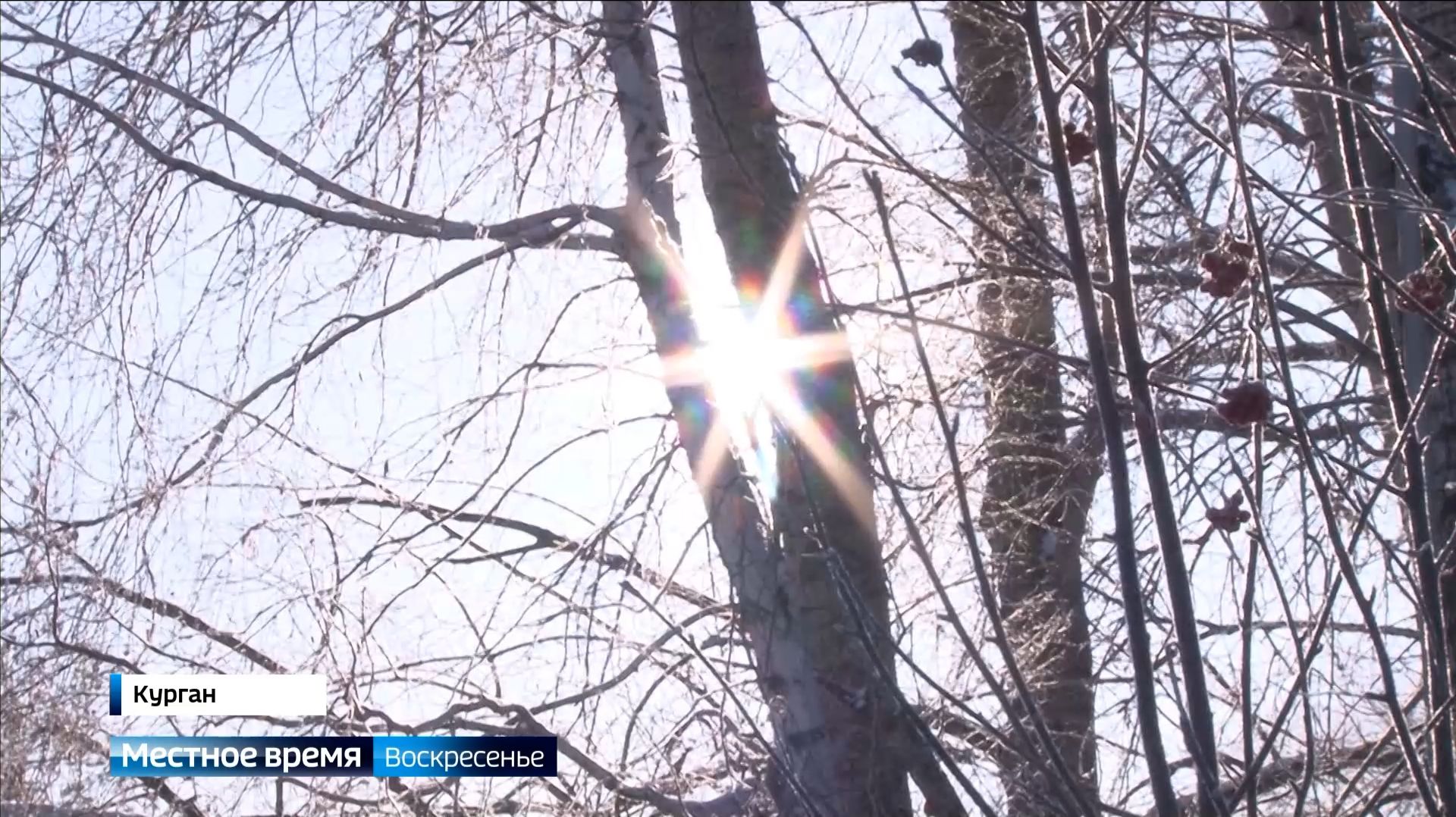 Синоптики дали прогноз на февраль смотреть онлайн