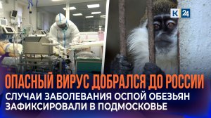 Вирус оспы обезьян обнаружили у двоих мужчин в Подмосковье