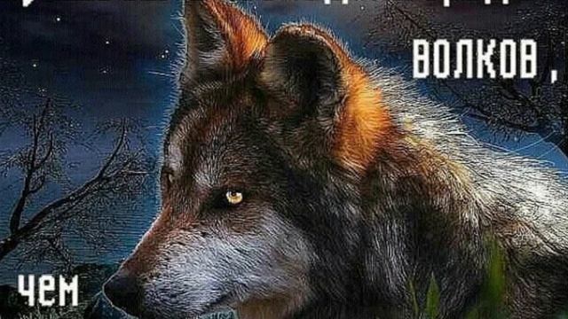 Garik Garik Что же ты,Братка💯 смотреть онлайн