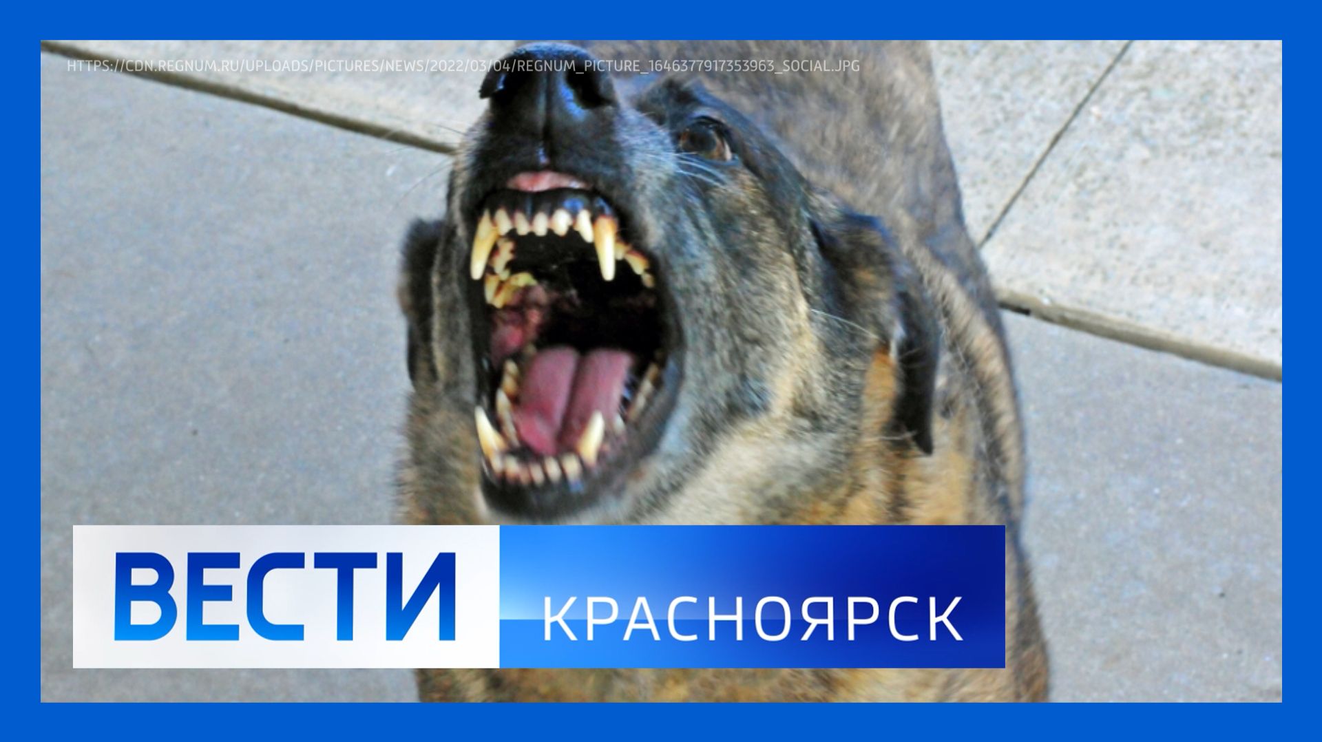 Вести. Красноярск от 02.02.2026 смотреть онлайн