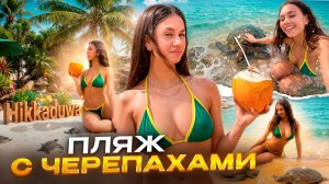 Мой ДЕНЬ на ПЛЯЖЕ + ВАЙБ 🌴🍌 КОРМЛЮ ЧЕРЕПАХ с РУКИ // Шри- Ланка