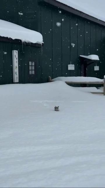 Кайф смотреть онлайн