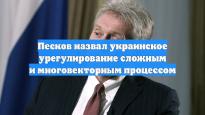 Песков назвал украинское урегулирование сложным и многовекторным процессом
