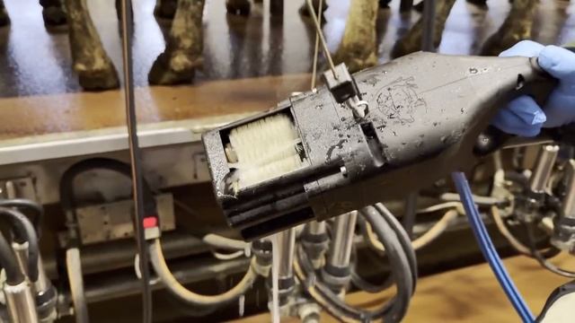 Опыт фермера: работа скруббера на практике смотреть онлайн