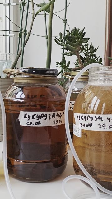 Аэрация дистиллята. Ускоряем выдержку #самогонныйаппарат