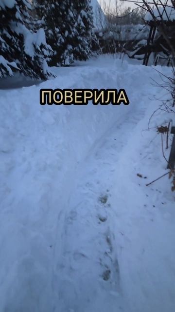 🤣👍 #юмор #прикол #шутка #тренд смотреть онлайн