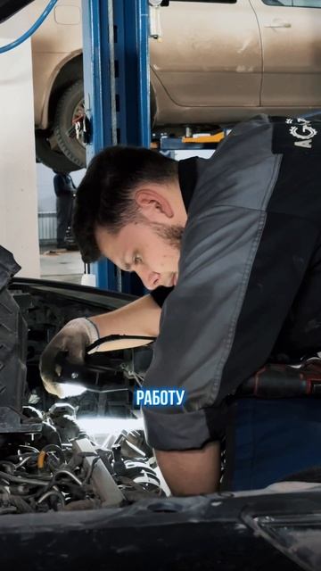 Самостоятельное обслуживание трансмиссии  лотерея.