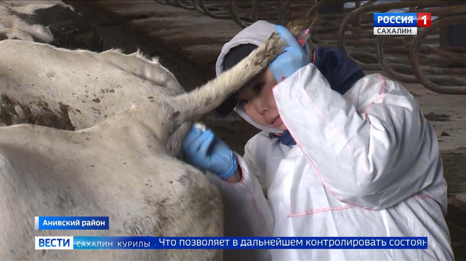 "Вести. Сахалин. Курилы". 2 февраля 2026 года смотреть онлайн