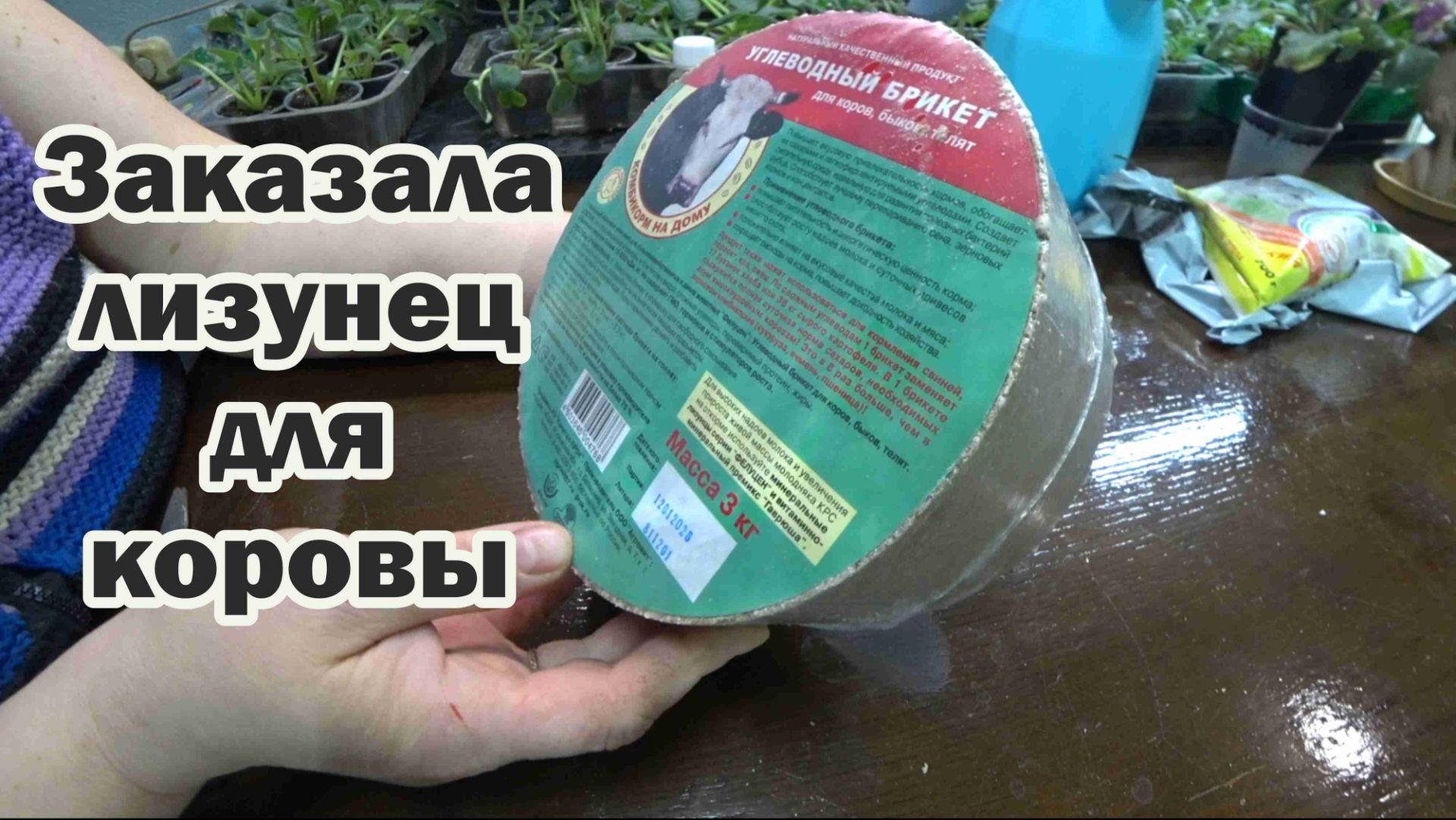 Обзор покупок с маркетплейсов: таблички для рассады, опрыскиватель, коктейль для коровы, лизунец смотреть онлайн