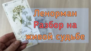 🔥ЛЕНОРМАН НА ЖИВОЙ СУДЬБЕ 🔮  РАСКЛАД С ОБРАТНОЙ СВЯЗЬЮ💌 ПО СХЕМЕ "ВИЗИТ К МАСТЕРУ ПО ТАТУ" 👩🎨