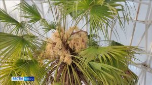 Вести-Томск, выпуск от 02.02.2026 21:10