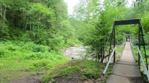 курорт Белокуриха, тропа здоровья