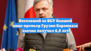 Воевавший за ВСУ бывший вице-премьер Грузии Барамидзе заочно получил 6,5 лет