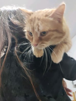 распаковка игрушек из Китая