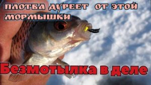 Применяем безмотылку: ловим рыбу на озере легко!