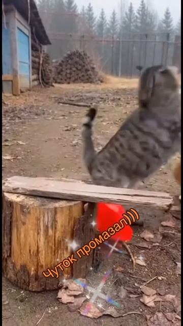 Чуток промахнулся