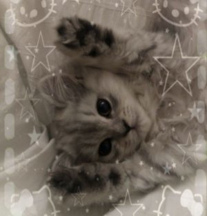 выполняет задания только от подписчиков