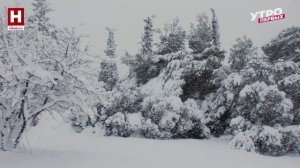 Зимние хлопоты садовника | ПРО ЦВЕТ