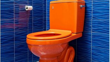 ПОСЛЕДОВАТЕЛЬНОСТЬ: Демонтаж старого и установка нового унитаза. смотреть онлайн